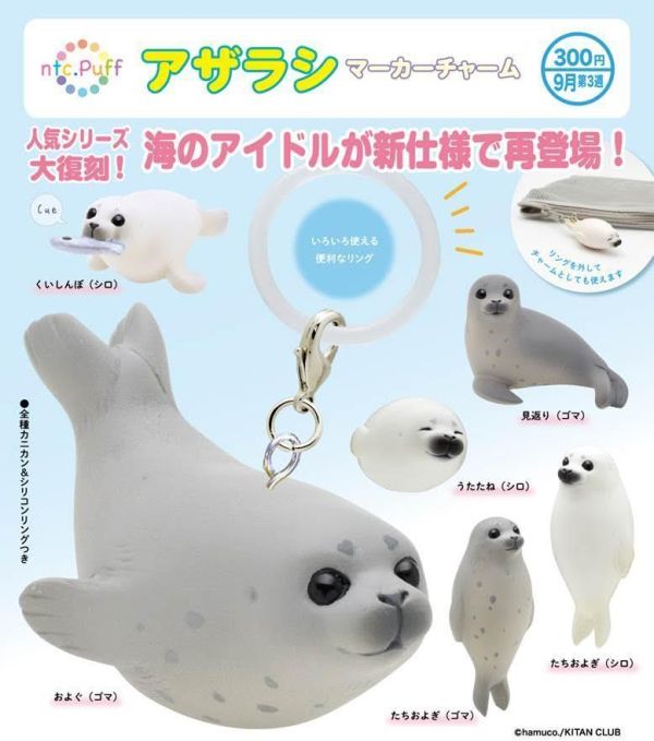 300円カプセル ntc.Puff アザラシ マーカーチャーム  扭蛋40入 預購26年09月0606 