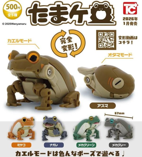 500円カプセル たまケロ 扭蛋20入 預購26年01月1002 