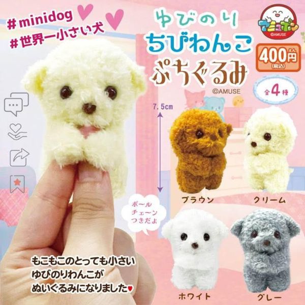 400円カプセル ゆびのりわんこぷちぐるみ 1袋30入 預購26年02月1108 