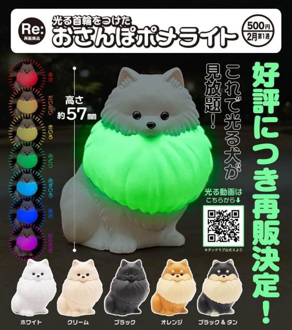 500円カプセル 光る首輪をつけた おさんぽポメライト 1袋20入 預購26年02月1107 