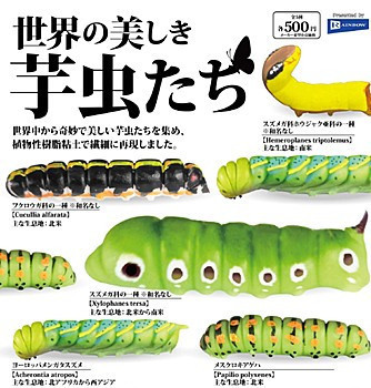 カプセル 世界の美しき芋虫たち 1袋20入 預購26年02月1103 
