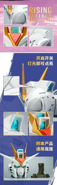 BN HEAD COLLECTION 振揚自由鋼彈  預購25年08月0513 