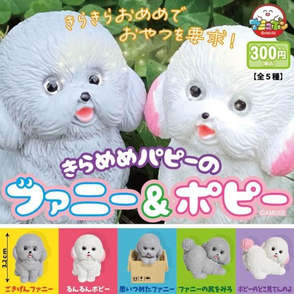 300円カプセル きらめめパピーのファニー&ポピー 1袋40入 預購26年02月1108 