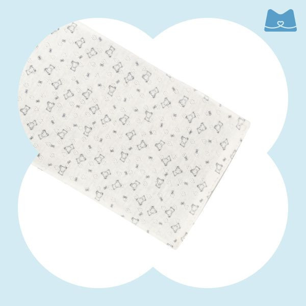 夏季寵物外出包 