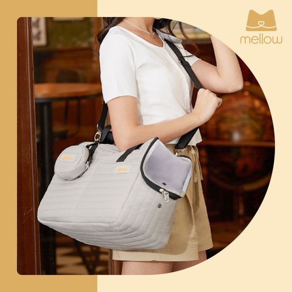 寵物多用途外出包 