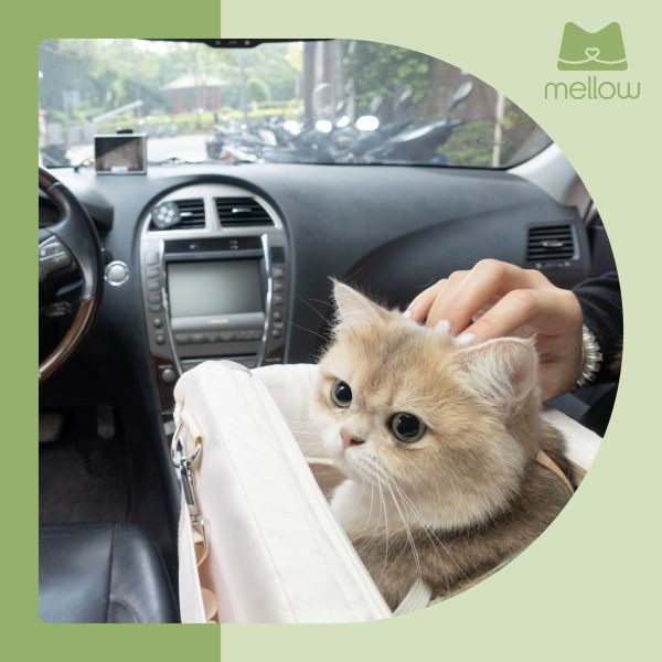 隨行車載中控包 