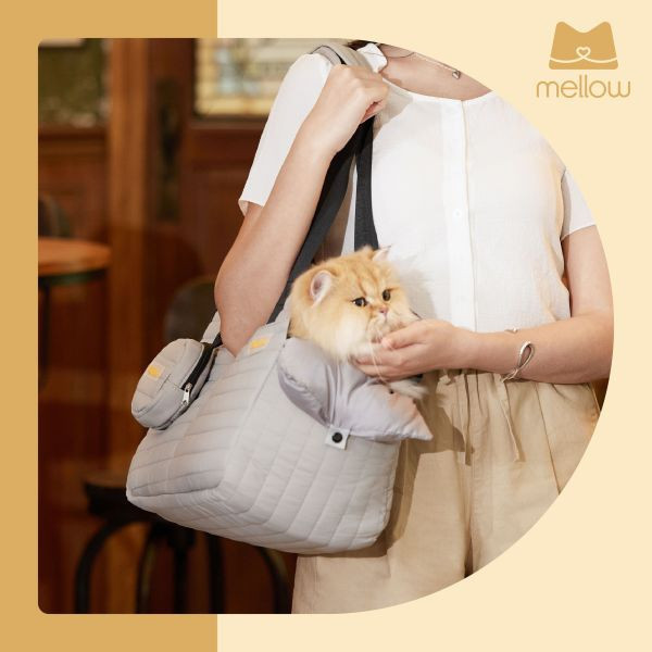 寵物多用途外出包 