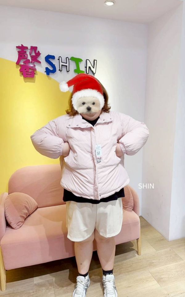 糖果色羽絨服(玫瑰粉/奶油杏/豆綠/黑) 