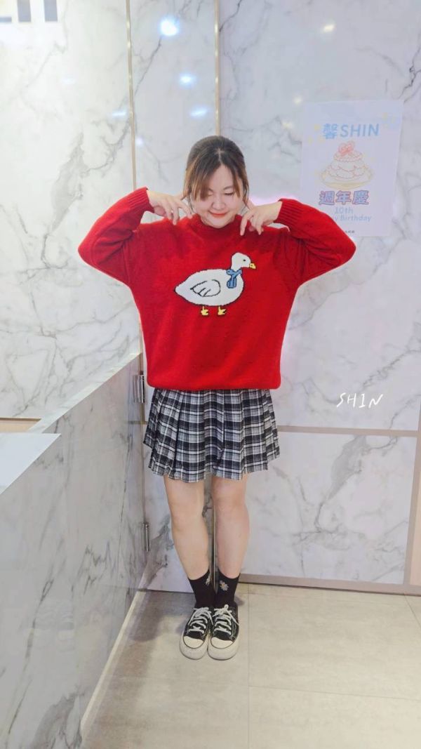 小鴨毛衣(藍/黃/粉紅/紅) 