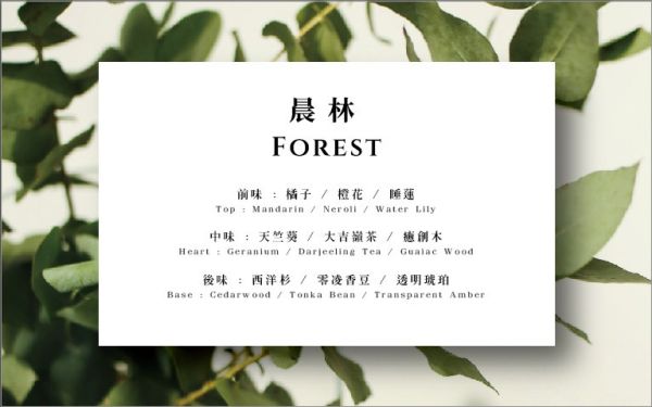 S.EROS試香卡 S.EROS,試香卡,香水試香,免費香氛體驗,淡香精,擴香推薦,舒眠噴霧,台灣香氛品牌,香味選擇,香氛禮物