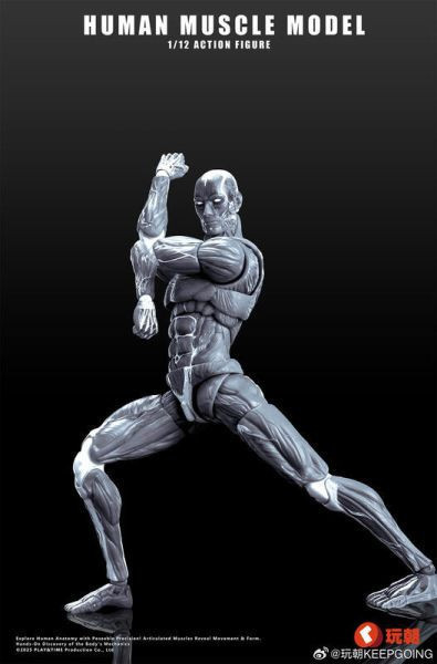 【0722KK】預購 可動 1/12 Human Muscle 肌肉紋理 肌肉人 灰色 可動 1/12 Human Muscle 肌肉紋理 肌肉人 灰色