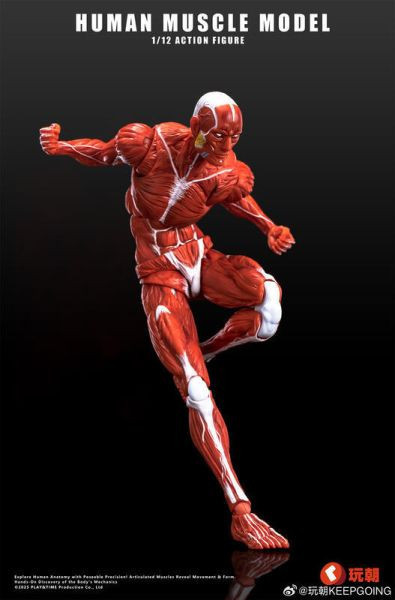 【0722KK】預購 可動 1/12 Human Muscle 肌肉紋理 肌肉人 紅色 可動 1/12 Human Muscle 肌肉紋理 肌肉人 紅色
