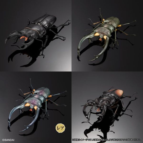 【0811KK】預購 扭蛋 生物大圖鑑 鍬形蟲02 一套4款 附樹皮底座(中) 扭蛋 生物大圖鑑 鍬形蟲02 一套4款 附樹皮底座(中)