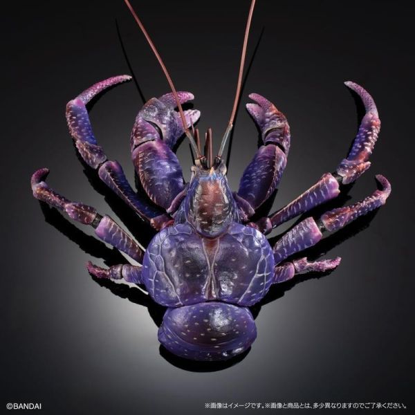 【0614KK】預購 BANDAI 生物大圖鑑PREMIUM 椰子蟹(紫色) BANDAI 生物大圖鑑PREMIUM 椰子蟹(紫色)