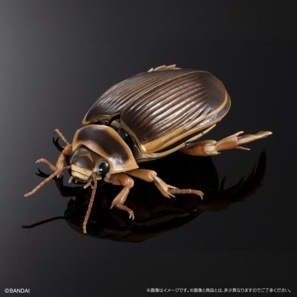 【0511KK】預購 BANDAI 扭蛋袋裝 生物大圖鑑 水生昆蟲02 日本大龍蝨 附展示支架組 BANDAI 扭蛋袋裝 生物大圖鑑 水生昆蟲02 日本大龍蝨 附展示支架組