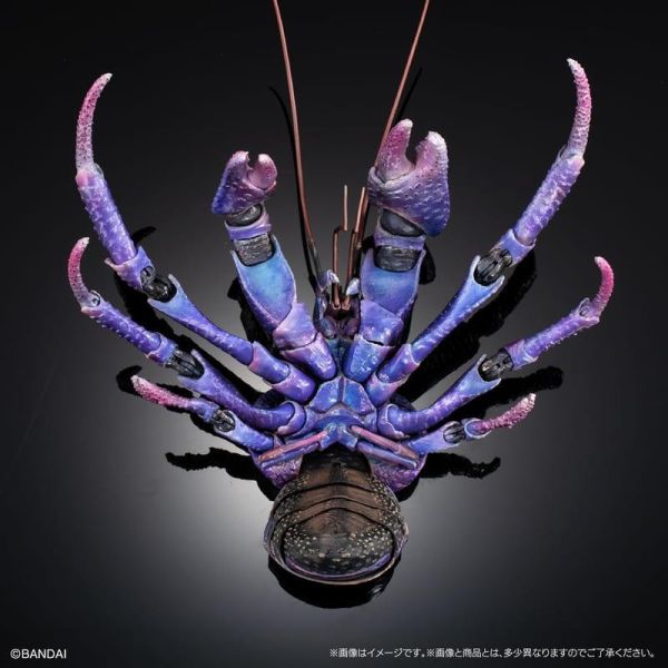 【0614KK】預購 BANDAI 生物大圖鑑PREMIUM 椰子蟹(紫色) BANDAI 生物大圖鑑PREMIUM 椰子蟹(紫色)