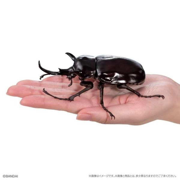 【0511KK】預購 BANDAI 生物大圖鑑 獨角仙11 附樹皮台座(小) BANDAI 生物大圖鑑 獨角仙11 附樹皮台座(小)