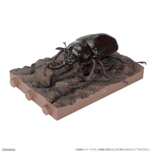 【0511KK】預購 BANDAI 生物大圖鑑 獨角仙11 附樹皮台座(小) BANDAI 生物大圖鑑 獨角仙11 附樹皮台座(小)