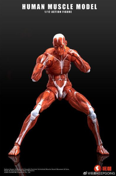 【0722KK】預購 可動 1/12 Human Muscle 肌肉紋理 肌肉人 紅色 可動 1/12 Human Muscle 肌肉紋理 肌肉人 紅色