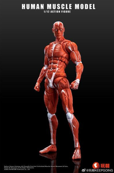【0722KK】預購 可動 1/12 Human Muscle 肌肉紋理 肌肉人 紅色 可動 1/12 Human Muscle 肌肉紋理 肌肉人 紅色