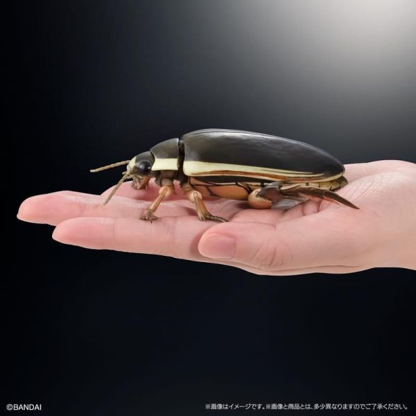 【0511KK】預購 BANDAI 扭蛋袋裝 生物大圖鑑 水生昆蟲02 日本大龍蝨 附展示支架組 BANDAI 扭蛋袋裝 生物大圖鑑 水生昆蟲02 日本大龍蝨 附展示支架組