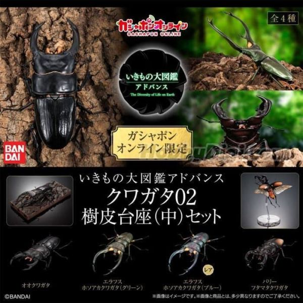 【0811KK】預購 扭蛋 生物大圖鑑 鍬形蟲02 一套4款 附樹皮底座(中) 扭蛋 生物大圖鑑 鍬形蟲02 一套4款 附樹皮底座(中)