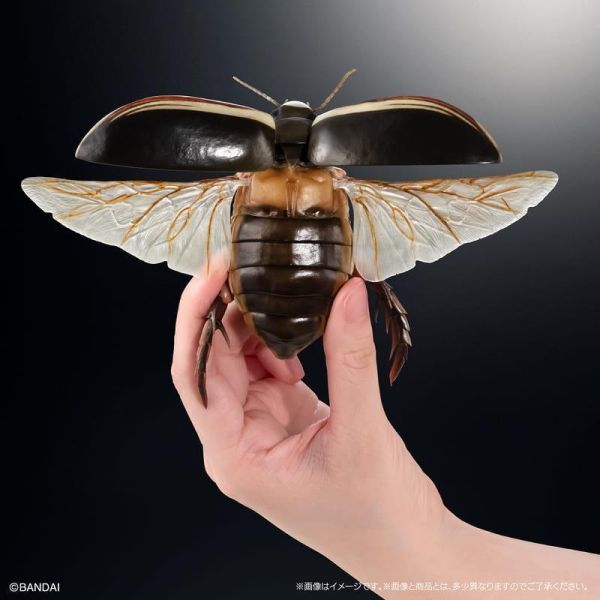 【0511KK】預購 BANDAI 扭蛋袋裝 生物大圖鑑 水生昆蟲02 日本大龍蝨 附展示支架組 BANDAI 扭蛋袋裝 生物大圖鑑 水生昆蟲02 日本大龍蝨 附展示支架組