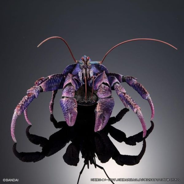 【0614KK】預購 BANDAI 生物大圖鑑PREMIUM 椰子蟹(紫色) BANDAI 生物大圖鑑PREMIUM 椰子蟹(紫色)