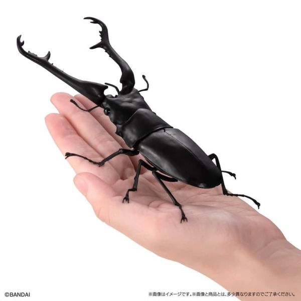 【1102KK】預購 生物大圖鑑 鍬形蟲11 附樹皮底座(小) 五款一套 生物大圖鑑 鍬形蟲11 附樹皮底座(小) 五款一套