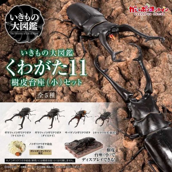 【1102KK】預購 生物大圖鑑 鍬形蟲11 附樹皮底座(小) 五款一套 生物大圖鑑 鍬形蟲11 附樹皮底座(小) 五款一套