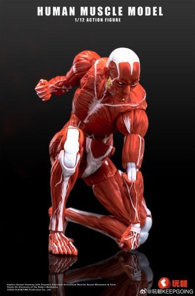 【0722KK】預購 可動 1/12 Human Muscle 肌肉紋理 肌肉人 紅色 可動 1/12 Human Muscle 肌肉紋理 肌肉人 紅色