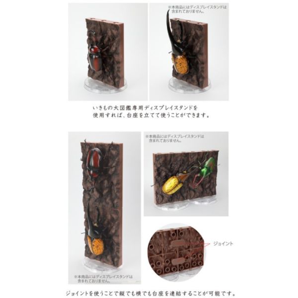 【0612KK】預購 盒玩 生物大圖鑑 獨角仙 大兜蟲 09 木質底座 套組 盒玩 生物大圖鑑 獨角仙 大兜蟲 09 木質底座 套組