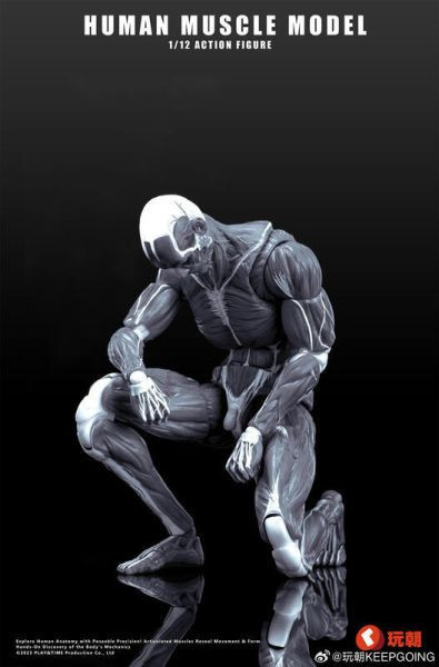 【0722KK】預購 可動 1/12 Human Muscle 肌肉紋理 肌肉人 灰色 可動 1/12 Human Muscle 肌肉紋理 肌肉人 灰色