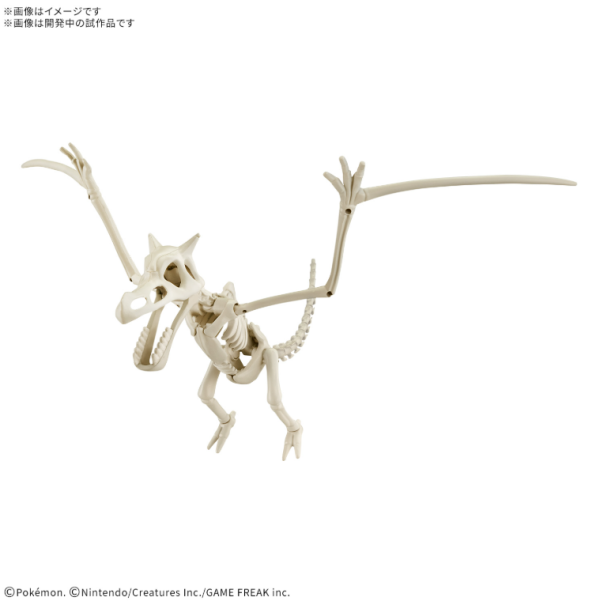【0904KK】預購 組裝模型 POKEPLA收藏集 化石寶可夢系列 化石翼龍 組裝模型 POKEPLA收藏集 化石寶可夢系列 化石翼龍