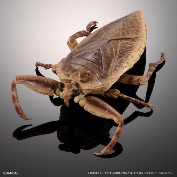 【0511KK】預購 BANDAI 扭蛋袋裝 生物大圖鑑 水生昆蟲02 日本大龍蝨 附展示支架組 BANDAI 扭蛋袋裝 生物大圖鑑 水生昆蟲02 日本大龍蝨 附展示支架組