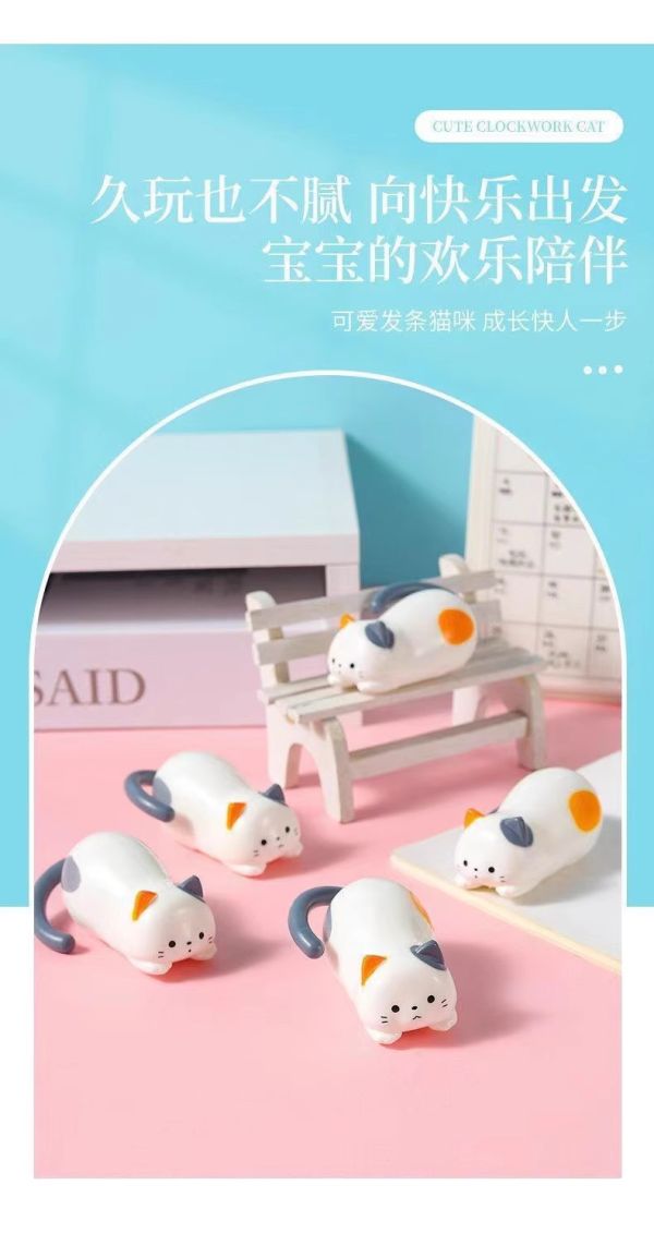 我家的貓會轉圈圈 