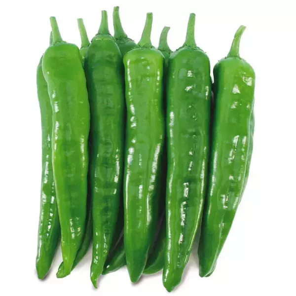 辣椒種子 