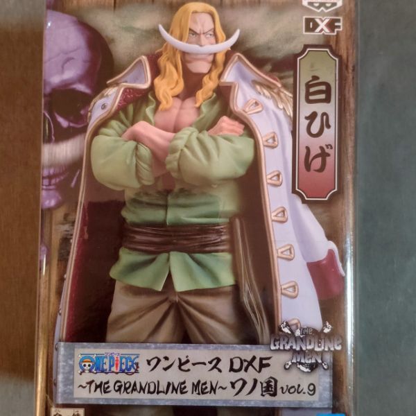 金證 航海王 海賊王 DXF THE GRANDLINE MEN 和之國 
