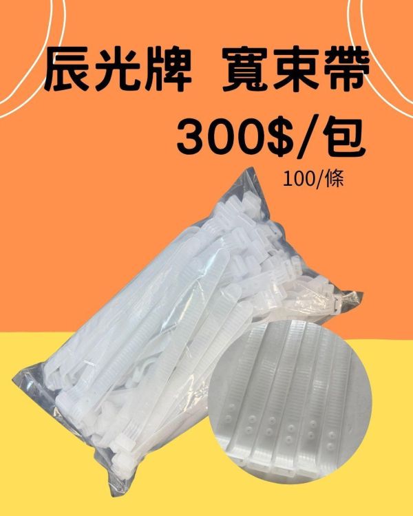 辰光牌 寬束帶(100/條) 