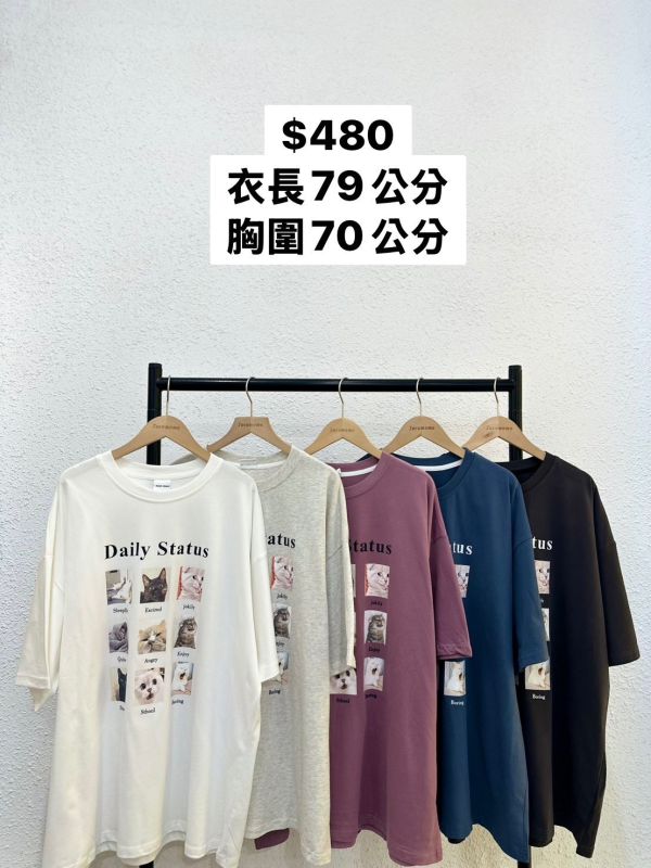 貓貓情緒九宮格大踢 