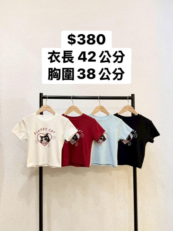 套裝Y19 