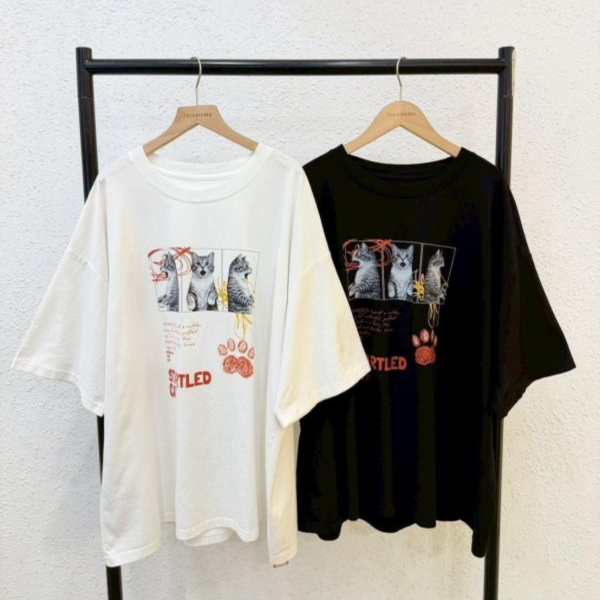 拼貼驚訝小貓大踢 