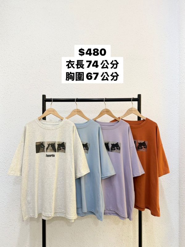 愛心墨鏡貓貓大踢 