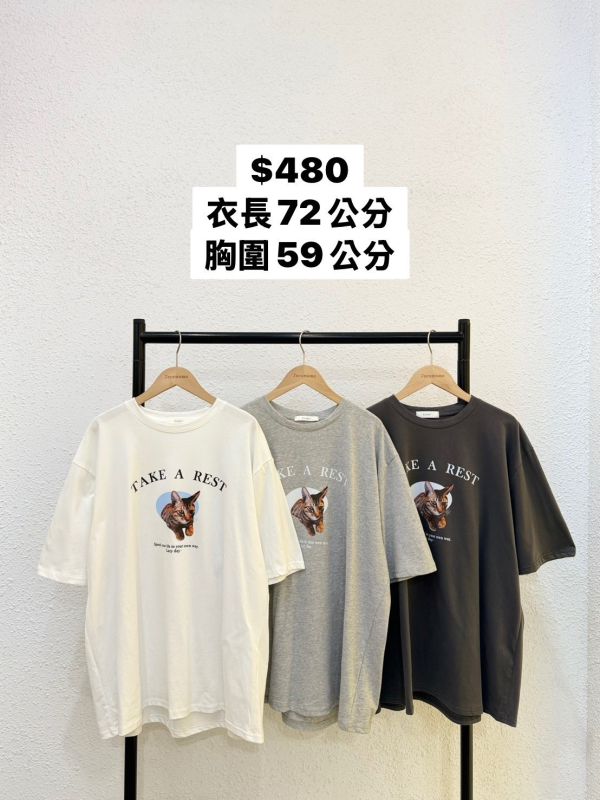 貓貓休息大踢 