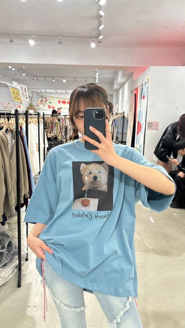 生日狗狗大踢 