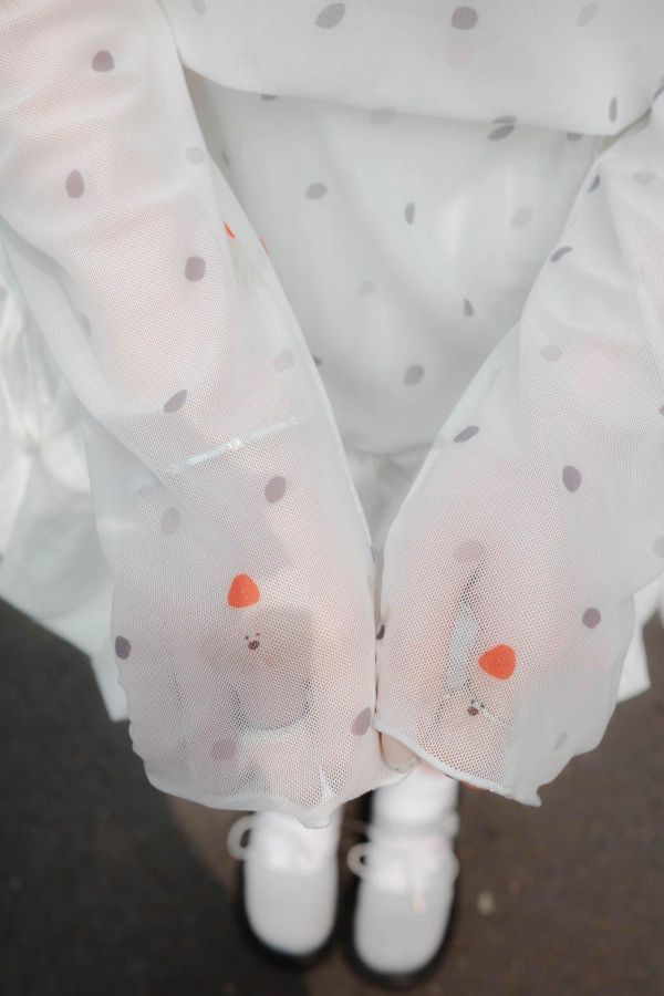 自訂款-蛋糕狗點點透膚 