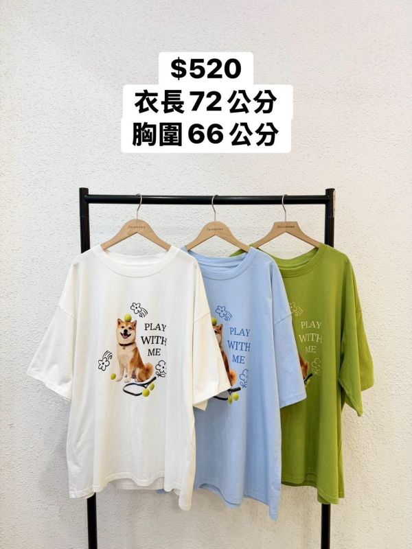 可愛柴犬網球大踢 