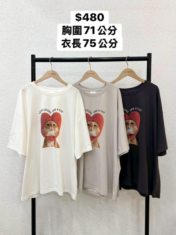 愛心頭套貓貓大踢 