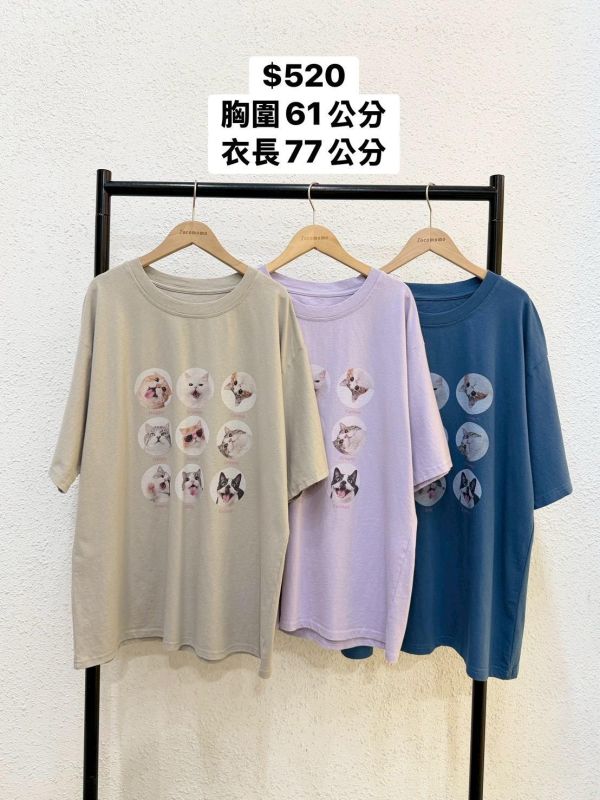 日常小貓九宮格大踢 