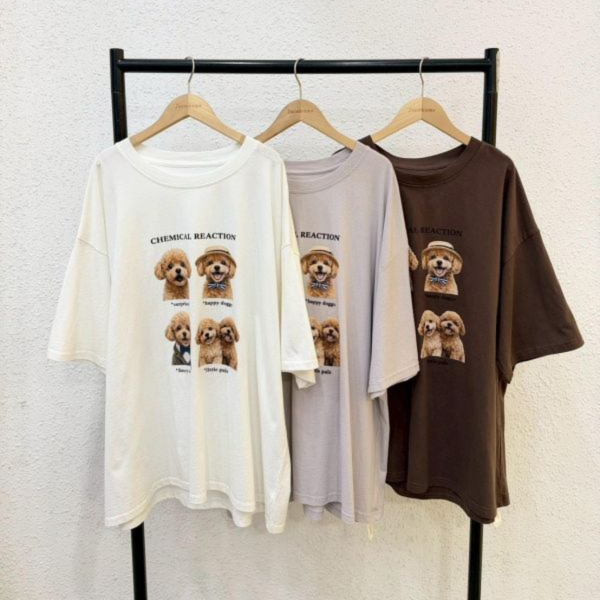 貴賓狗好朋友大踢 